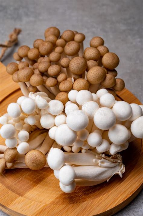 Fresh Buna Brown And Bunapi White Shimeji Edible Mushrooms From Asia
