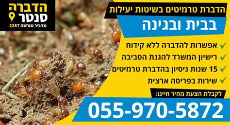 המלך והמלכה הם הפרטים היחידים שמתרבים בקן. הדברת טרמיטים מחיר מ-200 ₪ [טיפול בבית, במשקוף, בגינה ...