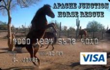 Umb visa credit card issued by umb bank. UMB Credit cards to help the Horse Rescue -- Apache Junction Horse Rescue | PRLog