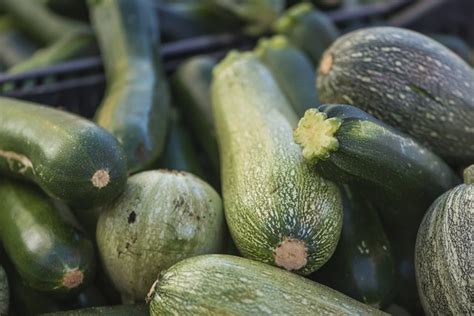 Check spelling or type a new query. Why Does Raw Zucchini Cause So Much Intestinal Gas ...