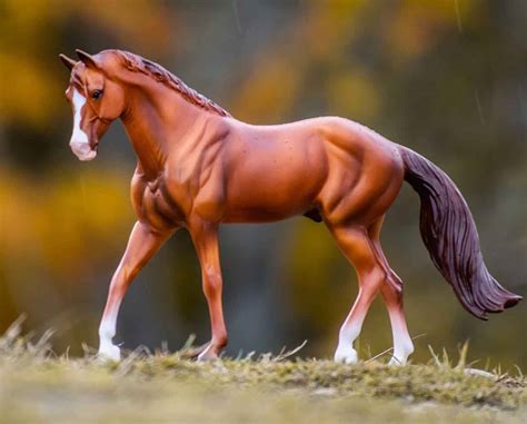 Chestnut Horse Wallpapers Wallpaper Cave