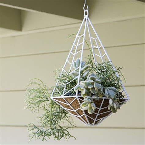 Looking Good Modern Hanging Baskets Succulents Indoors Wall Trough Planter