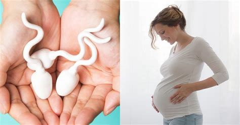 Selon Une étude Ingérez Régulièrement Le Sperme De Votre Partenaire Peut Vous Protéger Contre