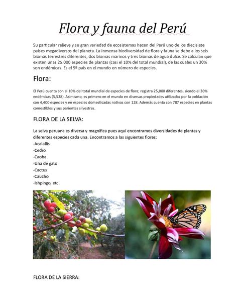 Calaméo Flora Y Fauna Del Perú