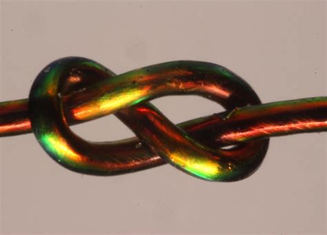 If your loyalty information is not listed, add your member number on either the dashboard screen or within settings. Untangling Knot Theory | BoatUS