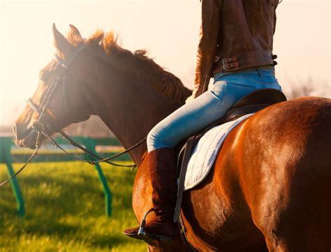 9 Health Benefits Of Horseback Riding Savvy Horsewoman