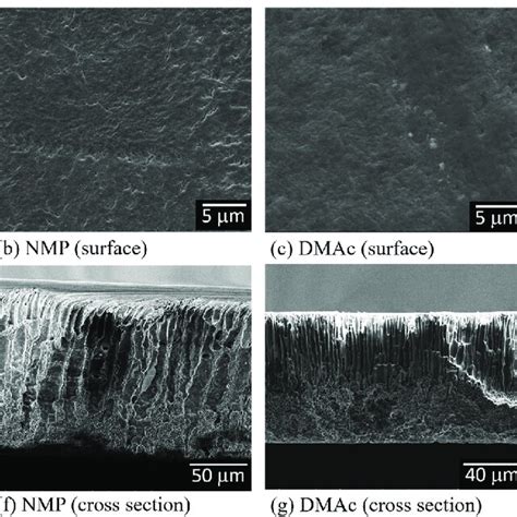 Sem Images Of The Surfaces And Cross Sections Of Pvdf Membranes