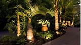 Landscape Lighting Ideas Around Pool Photos