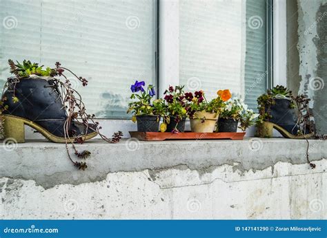 Decorative Creative Flower Pots On The Window Stock Photo Image Of