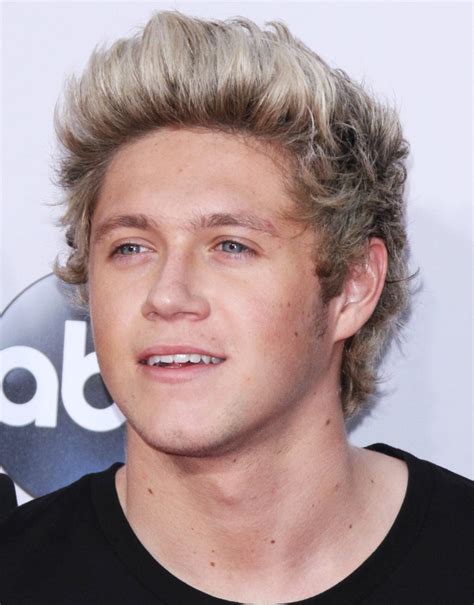 Niall Horan Picture 60 2014 American Music Awards Arrivals