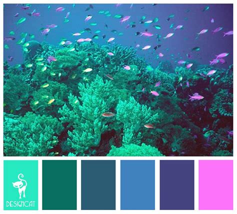 Reef Aqua Tiffany Blue Teal Blue Purple Pink Colour