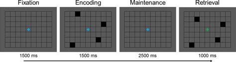 Spatial Working Memory Task Download Scientific Diagram