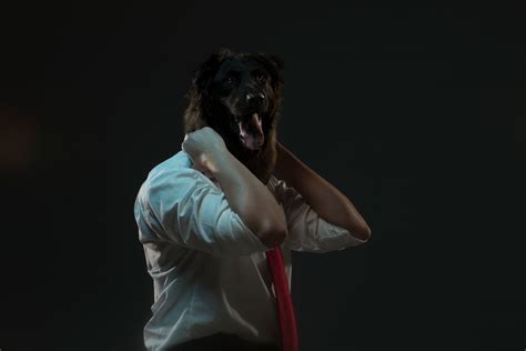 Isaac Alvarez Tworzy Zabawne Portrety łącząc Psie Głowy I Ludzkie