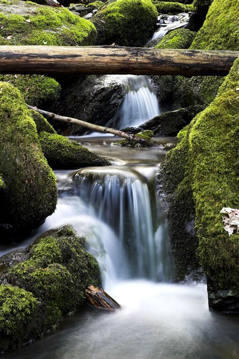 Gambar Pemandangan Alam Batu Air Terjun Daun Aliran Hijau