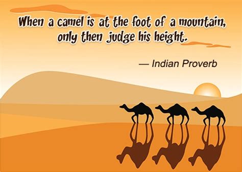 —saudi proverb show similar quotes. Wonderfully Witty Quotes and Sayings About Camels