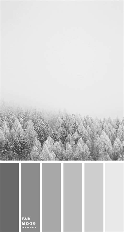 Shades Of Grey Color Palette Shades Of Gray Color Shades Of Grey