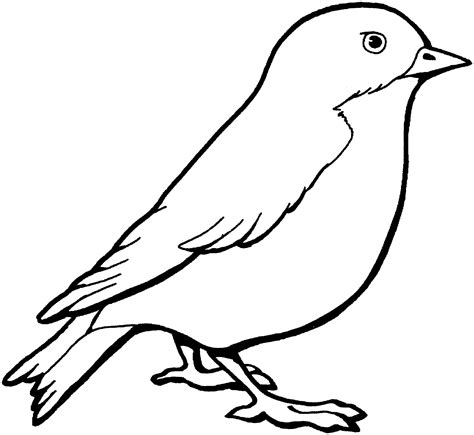Below are printable bird coloring pages of songbirds, passerines (perching birds) and nonpasserine species. sparrow-colouring-pages-for-toddlers