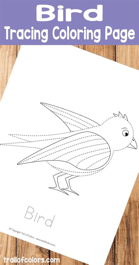 Printable Bird Tracing Coloring Page Birds For Kids Coloring Pages