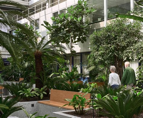 The Benefits Of Biophilic Design Incorporating Nature Into Your