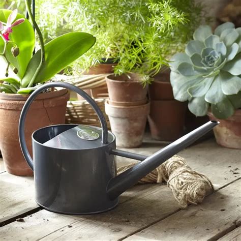 Burgon And Ball Sophie Conran Greenhouse Indoor Watering Can