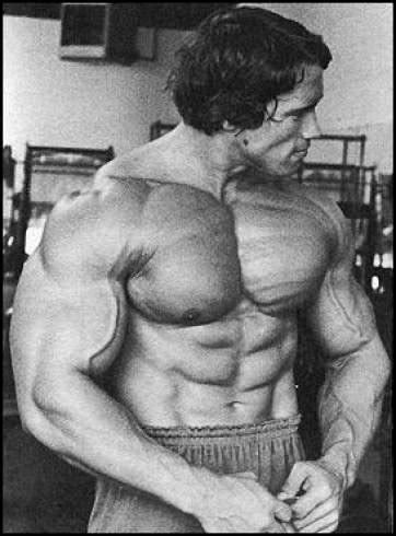 Arnold schwarzenegger who was born in july 30, 1947 was an austrian american actor, businessman, investor, politician and most if you don't know anyone in the arena of bodybuilding, you must know the name of arnold schwarzenegger. Frugal Fitness: Total Chest Training: Maximizing Strength ...