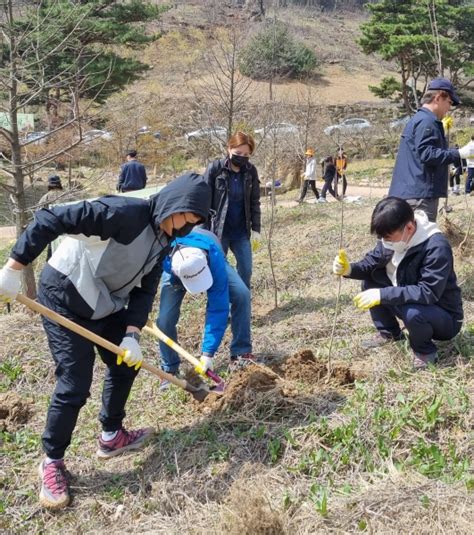 전남도 430만 그루 나무 심어 탄소흡수원 확충 시민의소리