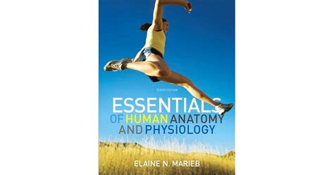 Essentials Of Human Anatomy And Physiology By Elaine N Marieb