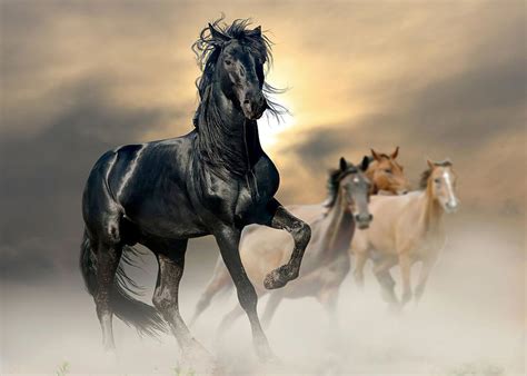 Horse Running Horses Digital Art By Rowlette Nixon