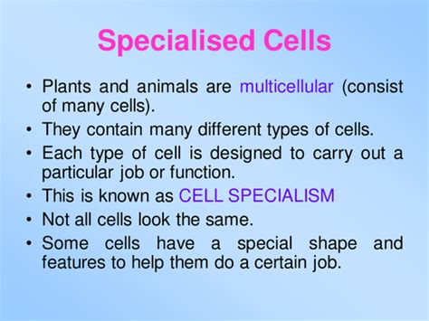 We did not find results for: Specialised Cells by saadia_1706 - Teaching Resources - Tes