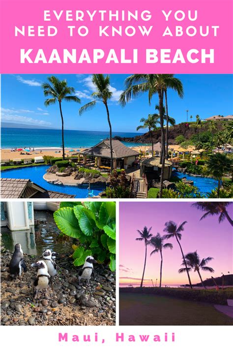 Guide To Kaanapali Beach In Maui Hawaii Where To Stay Things To Do