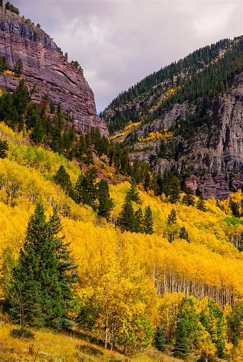 Fall Color Telluride Colorado Usa Blaine Harrington Iii