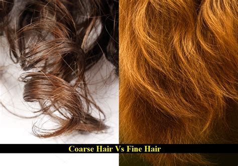 Fine Hair Vs Coarse Hair How To Tell The Difference Hairstylecamp