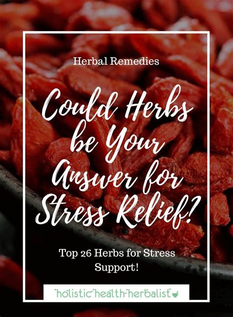 Could Herbs Be Your Answer For Stress Relief Learn About The Best