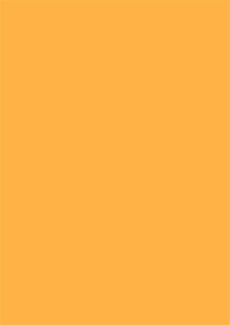 2480x3508 Pastel Orange Solid Color Background
