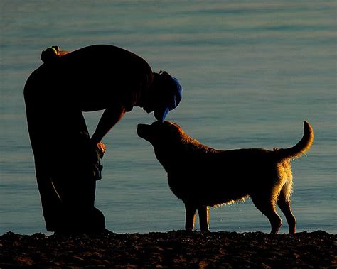 That means you can mess with their tail, play keep away with their food, and tug on their ears to you get to have your fun, and your dog will forget all about it and treat you like their best bud within a couple minutes! Man's Best Friend - Loyal & Unconditional Love - Dr. Sam ...