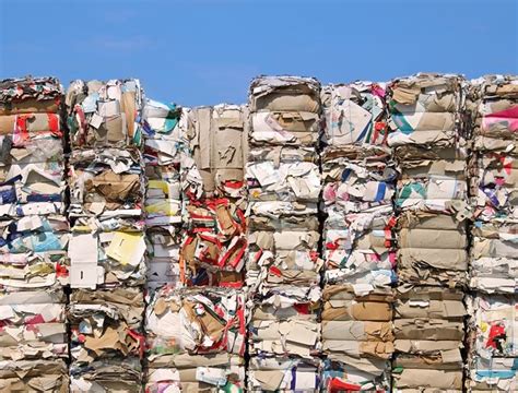 Cómo reciclar el papel para usarlo nuevamente y cuidar el medioambiente
