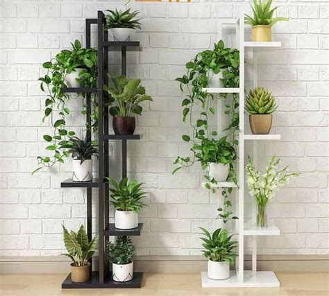 Outdoor Orchid Shelf