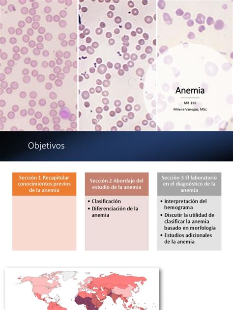 2c Anemia 2022 Pdf Anemia Biología Celular