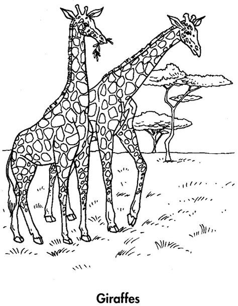 Animal Planet Coloring Pages Free Planet Coloring Pages Space