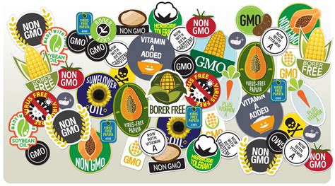 Controversies and risks of genetically modified foods and herbicides with dave schubert. Genetically Modified Organisms (GMOs) | Wednesday-Night