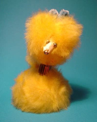 Fuzzy Yellow Poodle Flickr Photo Sharing