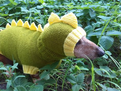 Traje De Perro Dragón Dinosaurio Traje De Dinosaurio Para Etsy