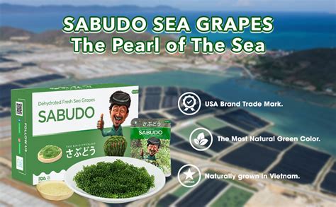 Sabudo Sea Grapes King Umibudo Dehydrated Lato Seaweed Green Caviar