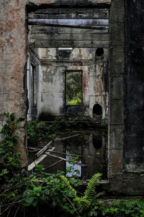 Abandoned Royal Hotel In Linda Tasmania Photograph Taken By Marsha