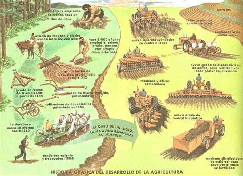 Sector Agricola En Colombia Historia Grafica Del Desarrollo De La