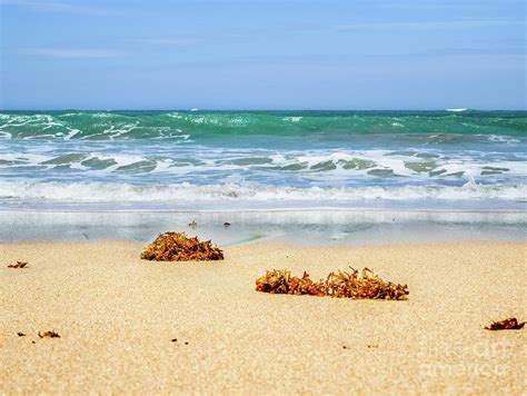 Peaceful Ocean Scene With Turquoise Ocean Beach Art Photograph By