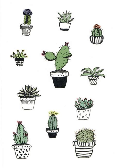 Download High Quality Cactus Clipart Aesthetic Transparent Png Images