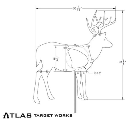 Light Deer Full Size Buck W Ar500 Vital And Sheet Metal Body
