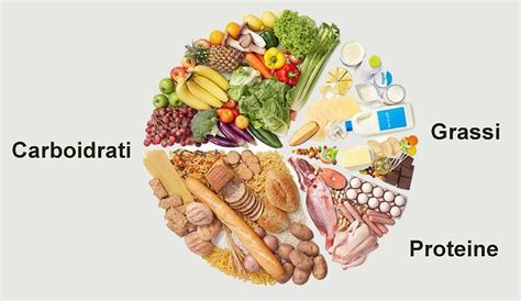 Le proteine sono uno degli elementi più importantidiete umane. Macronutrienti e micronutrienti: differenza