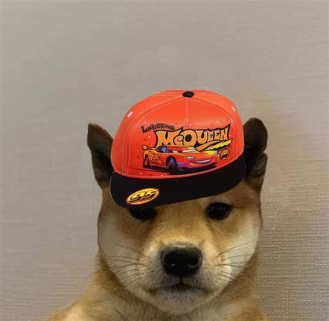 Pin De Gianna En That One Dog Omg Animales Chistosos Animales Perrito